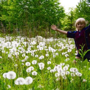 forår i skoven_engen2