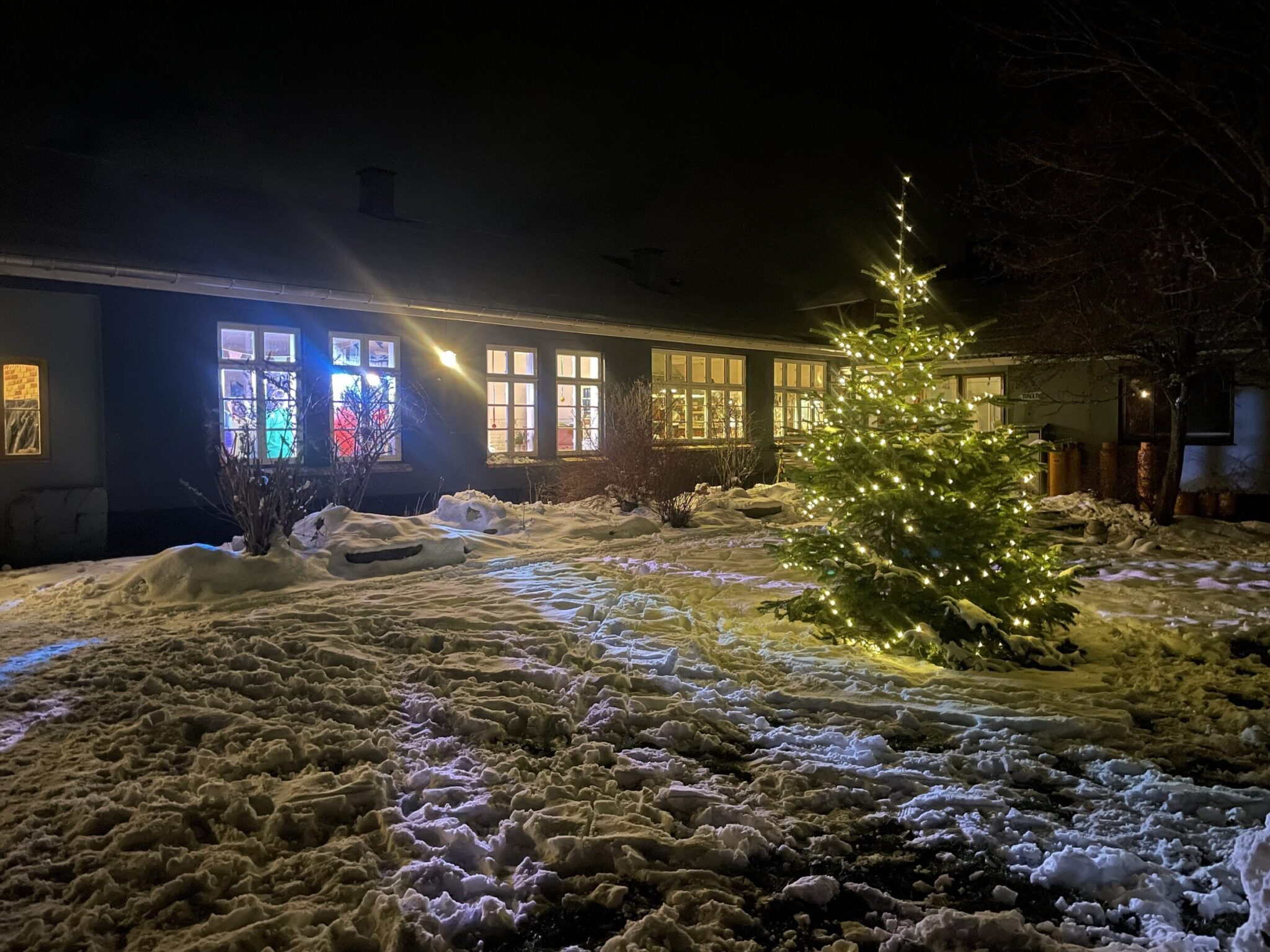 Juletræet med lys i sneen foran fælleshuset